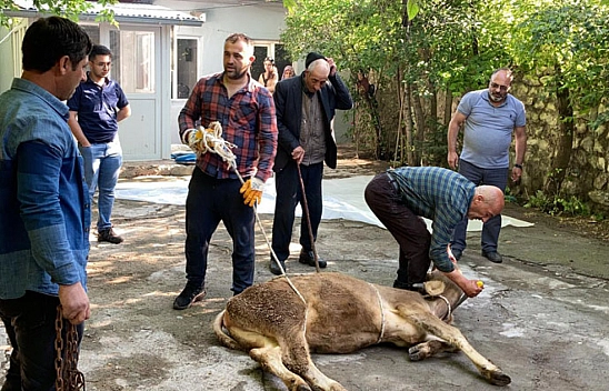 Malatyalılar dikkat! Bunu yapanlara ceza yağacak!