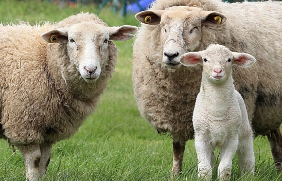 Malatyalılar Dikkat! Başvurular İçin Son Gün!