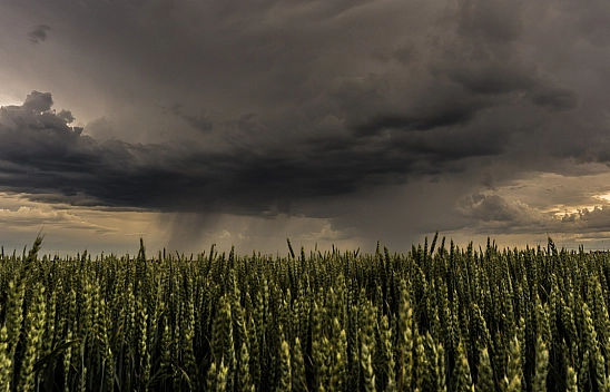 Malatyalılar dikkat! Gün boyu yağış bekleniyor…
