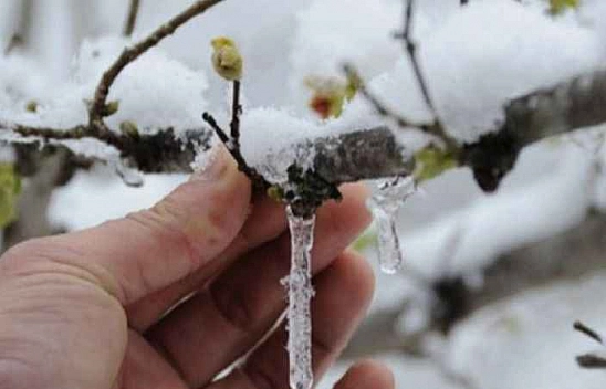 Malatyalılar Dikkat! Meteoroloji, Buzlanmaya Karşı Uyardı!…