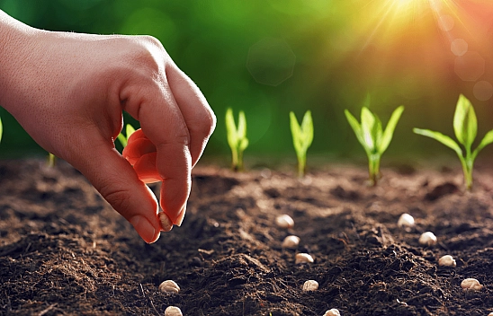 Malatyalılar dikkat: Ödemeler hesaplarda…