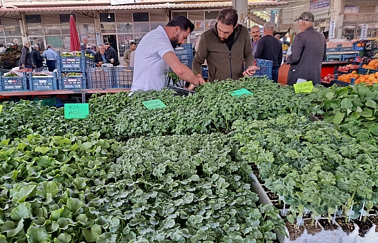 Malatyalılar enflasyona çözüm buldu! Artık herkes kendi domates biberini ekecek...