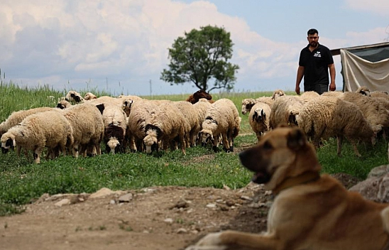 Malatyalılar hesaplarınızı kontrol edin! Para desteği başladı