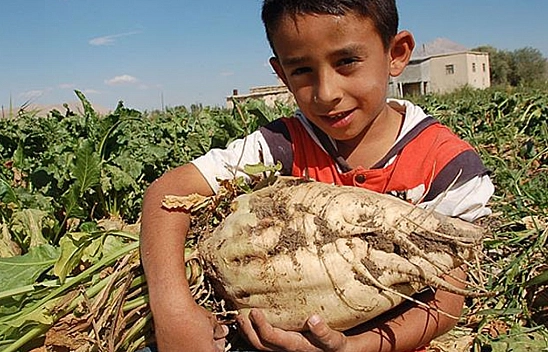 Malatyalılar müjde: Hesaplara 2 milyar 465 milyon TL'lik avans ödemeleri yattı…