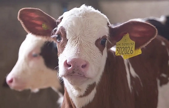 Malatyalılar ödemeler başladı: Hesaplarınızı kontrol edin!