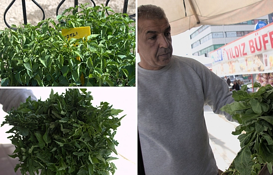 Malatyalılar rotayı değiştirdi: Umut da geçim de artık sebzede…