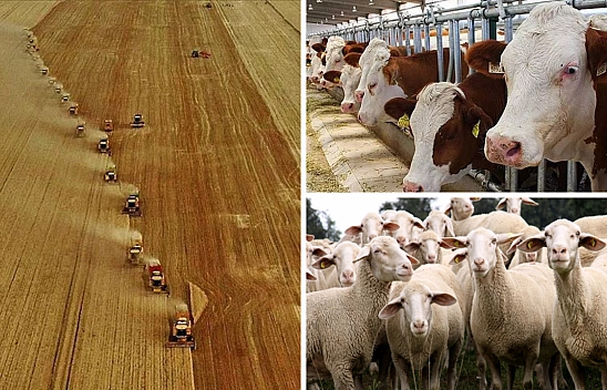 Malatyalılar tarım ve hayvancılıktan vaz mı geçiyor?