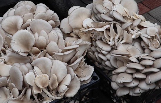 Malatyalıların Cebi Yanıyor: Pazardaki Fiyatlar Dudak Uçuklattı! İşte Güncel Fiyatlar...