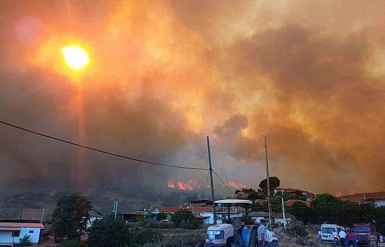 Orman yangını evleri tehdit etti