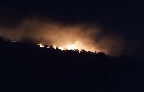 Mardin'de anız yangını söndürüldü