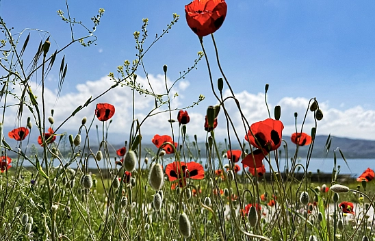 Meteoroloji açıkladı: 16 Haziran 2025 Malatya hava durumu raporu... Bugün hava nasıl olacak?