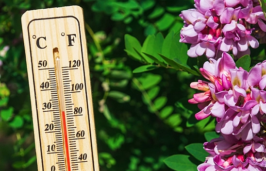 Meteoroloji açıkladı: 7 Temmuz Pazartesi hava durumu raporu... Malatya'da bugün hava nasıl olacak?