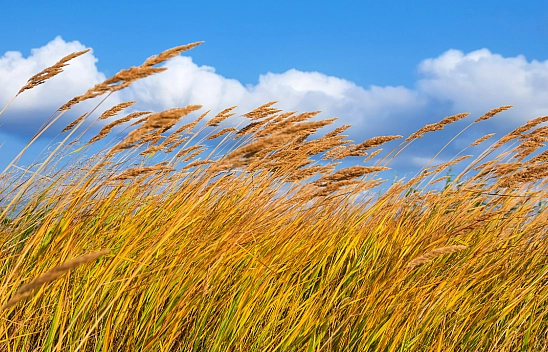 Meteoroloji'den Malatya için kritik uyarı: Yaşanabilecek olumsuzluklara karşı dikkatli olun!