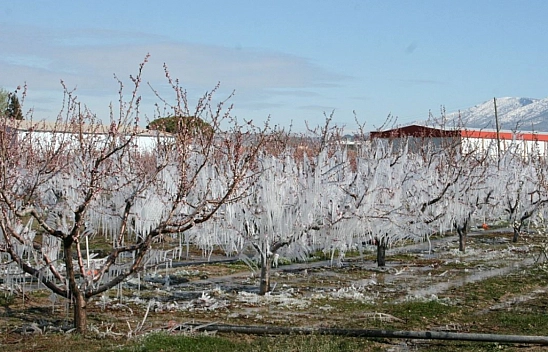 Meteoroloji'den Zirai Don Uyarısı: Malatya, Elazığ, Adıyaman Etkilenecek!