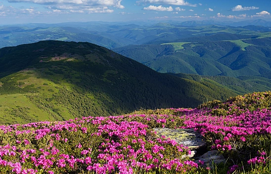 Meteoroloji Malatya'yı Uyardı: Güneşli Havayla Birlikte Tehlike de Geliyor!