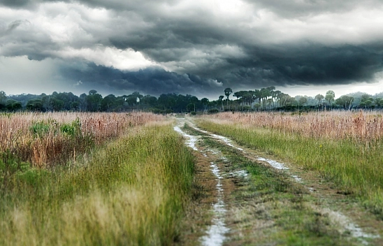 Meteoroloji saat verdi: Malatya'da etkili olacak!