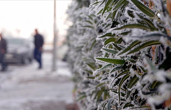 Meteoroloji Uyardı! Malatya Çevresinde Kuvvetli Rüzgarlar Etkisini Gösterecek!