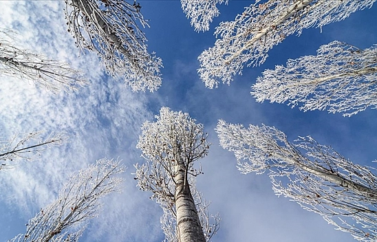 Malatya'da Sıcaklıklar Yükseliyor Mu? İşte Hava Durumu...