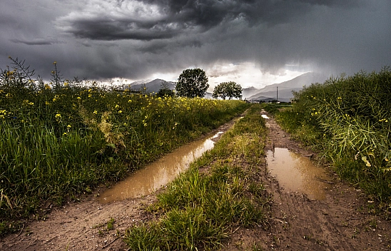 Meteoroloji uyardı: Malatya'da yağış başlıyor! Peki, hangi ilçeler etkilenecek?
