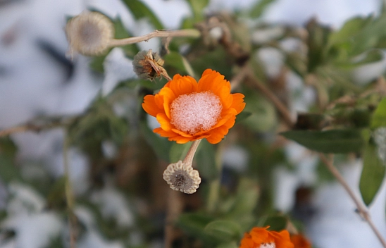 Meteoroloji Malatya'yı Uyardı! Sabah ve Gece Dışarı Çıkarken Dikkat!
