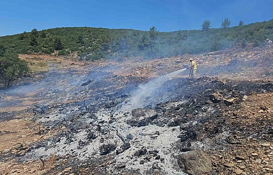 Arazi yangını kontrol altına alındı