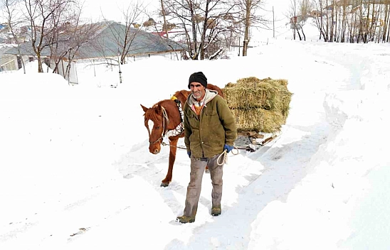 Muş'ta besicilerin imdadına atlı kızaklar yetişti