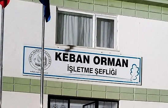 Orman yangınları için kritik günler: Yetkililerden peş peşe uyarı