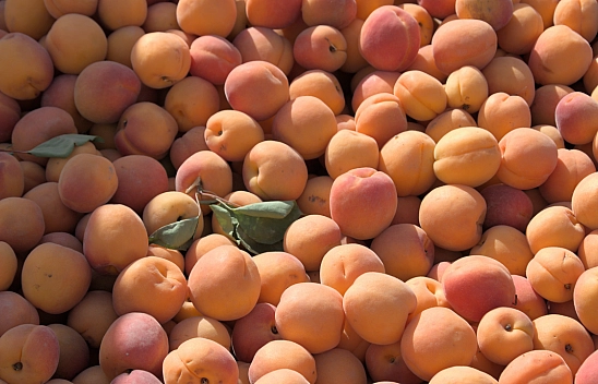 Malatya pazarını kaybetti: Yeni adres Mersin...!