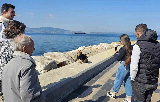 Oscar göz kamaştırdı