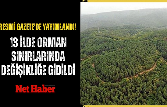 Resmi Gazete'de yayımlandı! 13 ilde orman sınırlarında değişikliğe gidildi