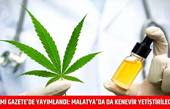 Resmi Gazete'de yayımlandı: Malatya'da da kenevir yetiştirilecek…
