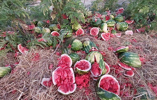 Samsun'da firmaya 14 bin 430 TL ceza