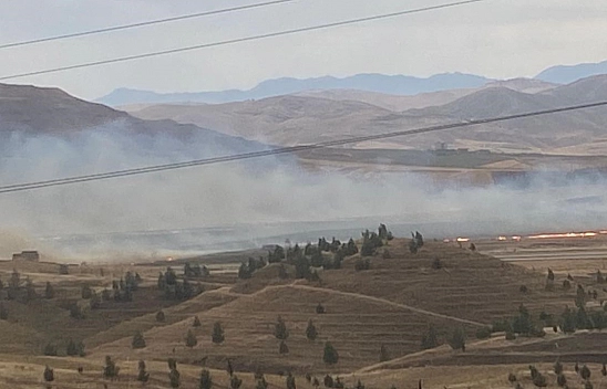 Türkiye alev alev yanıyor! Bir ilde daha anız yangını