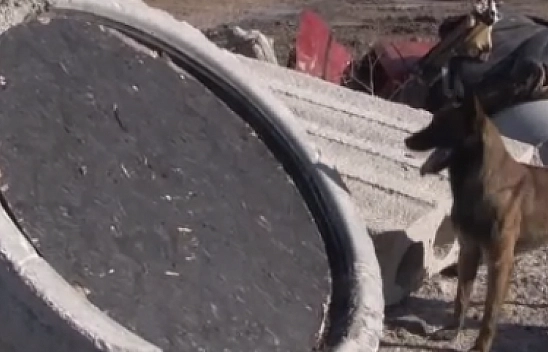 'Sıla' depremde 12 can kurtardı