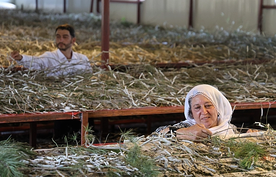 Sırrı Babaannesinden Aldı, Hayalini Gerçekleştirdi!