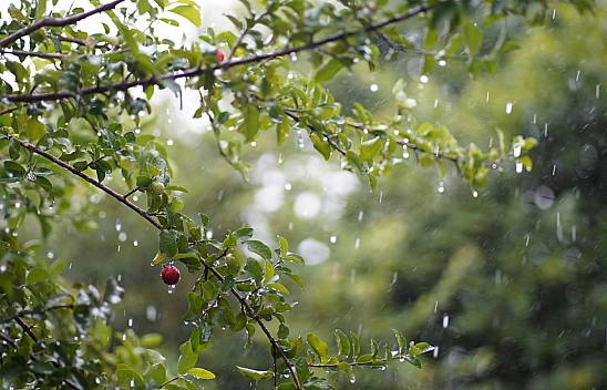 Son dakika: Meteoroloji saat verdi! Malatya'da bugünde etkili olacak