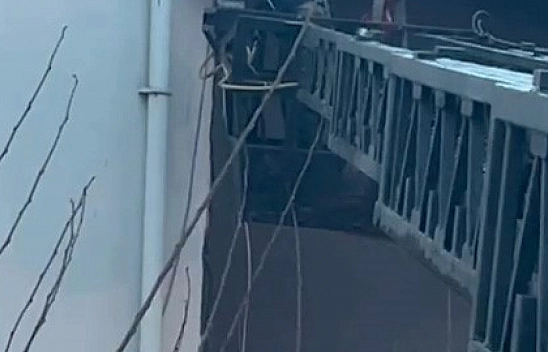 Takıldığı ipte asılı kalan güvercin kurtarıldı