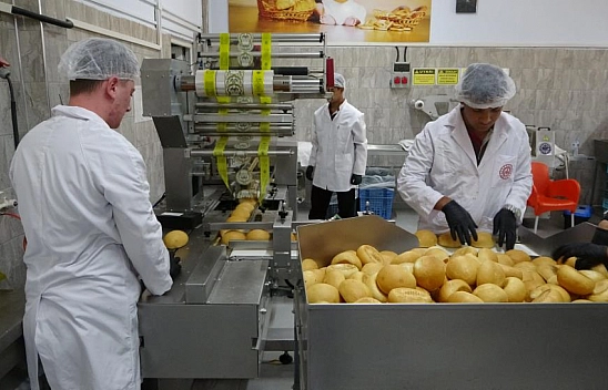 Tarladan sofraya eğitim modeli! Malatya'da lise öğrencileri üretim zincirini kurdu….