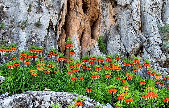 Kahramanmaraşlılar dikkat 240 bin TL ceza alabilirsiniz