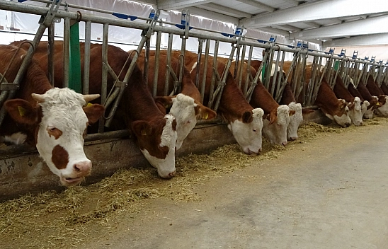 Tesis kurdu! Kendi işinin patronu oldu!