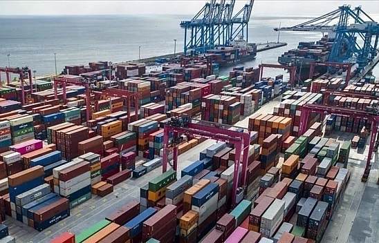 TİM Raporu Açıklandı: 6 Aylık Kayısı Rakamları Beklentileri Aştı mı?