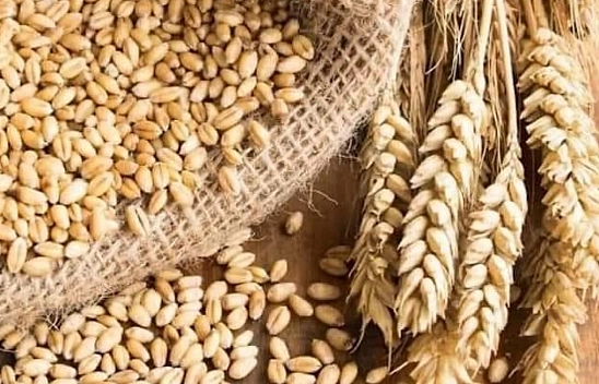 TMO alımları için geri sayım başladı: Malatya'da ne zaman başlayacak?