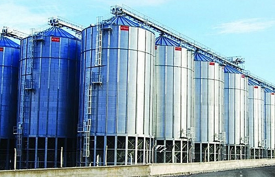 TMO'dan Alım Kararı! Malatya Kayısısı Giresun Fındığının Gölgesinde Kaldı!