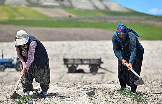 Tohumlar toprakla buluştu