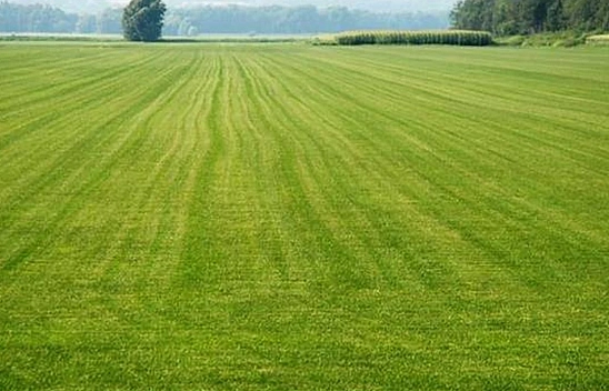 TOKİ Malatya'da Arsa Satacak..! İşte Detaylar....!