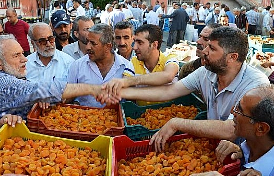 Tonlarca kayısı iç piyasada kayboldu!