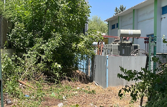 Malatya'da Çürüyen Ağaç Trafonun Üstüne Devrildi!