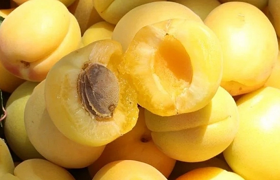 Fındık ve İncirden Sonra Kayısı Zirvede...