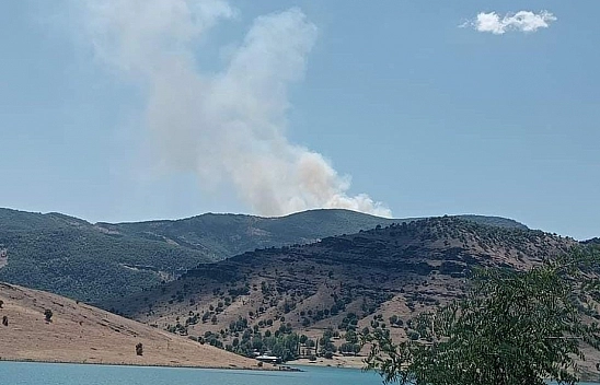 Tunceli'de orman yangını
