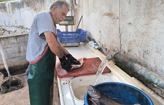 Kızılay'dan Malatya'ya destek..!